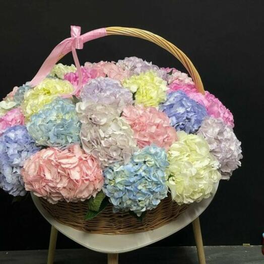 25 Hydrangeas in a basket