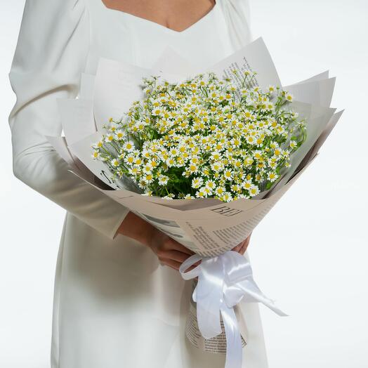 Bouquet of daisies