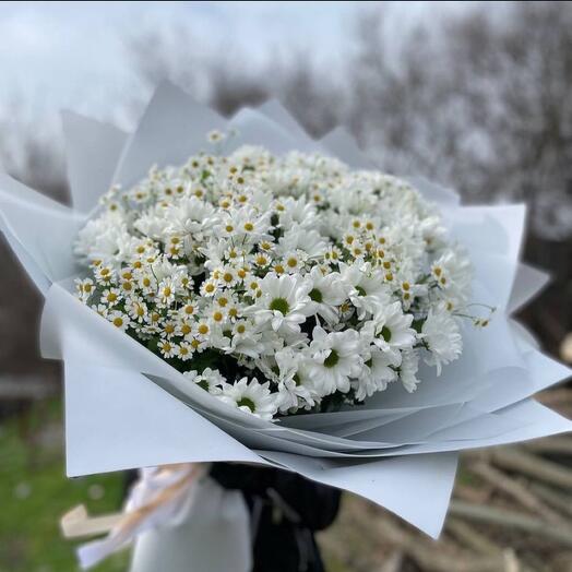 Bouquet of daisies
