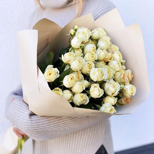 BUKET 259