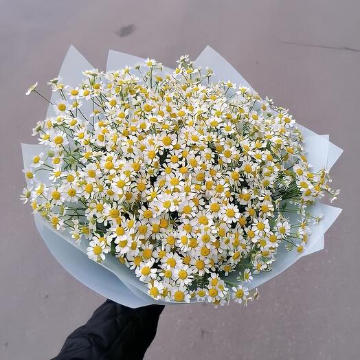 Летний букет ромашек