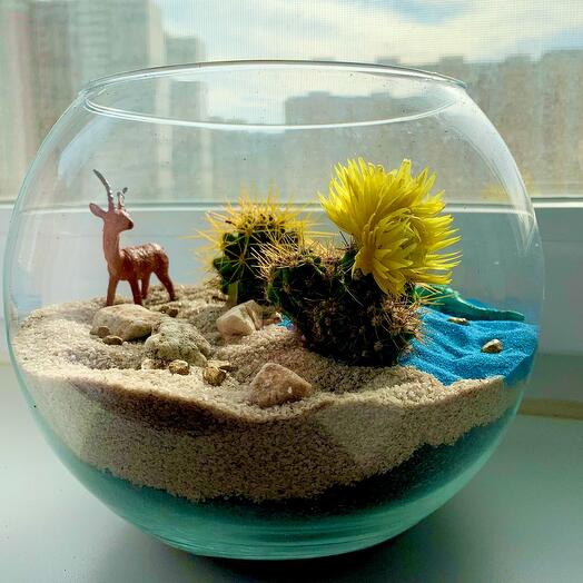 Флорариум «Пустыня», Live Plants Moscow, buy at a price of 1600 RUB ...