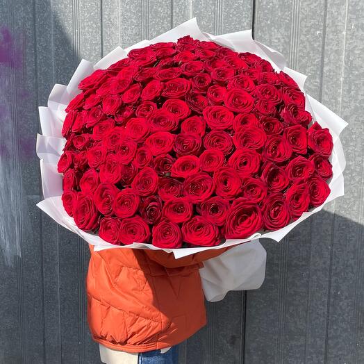 Rose fragrant