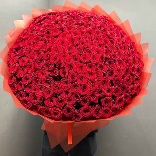 201 Roses
