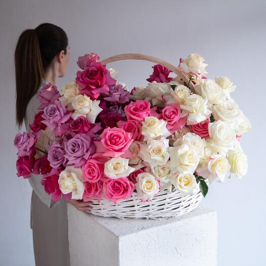 151 Romantic Rose