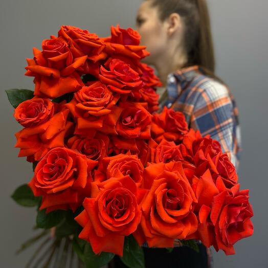 Французская алая Роза XL