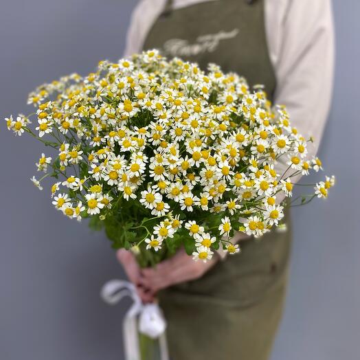 Bouquet of daisies