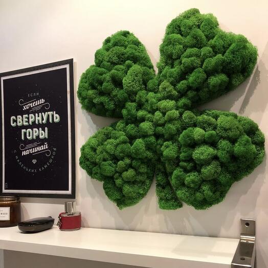 Panel of moss "Clover" 50* 50 cm. February 23
