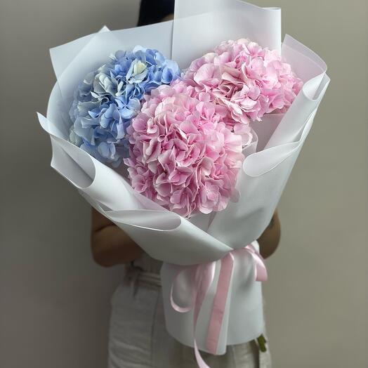 Mono bouquet of hydrangeas