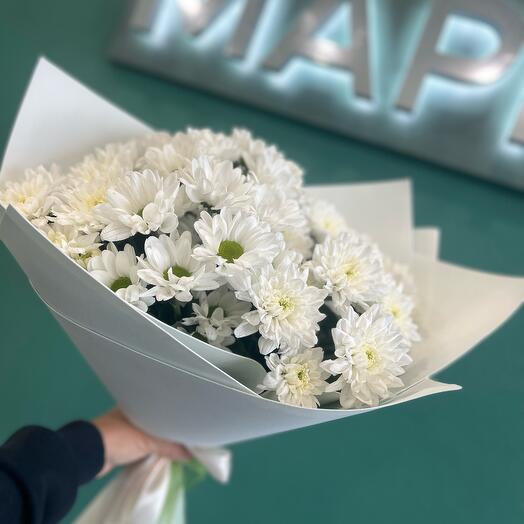 Микс хризантем