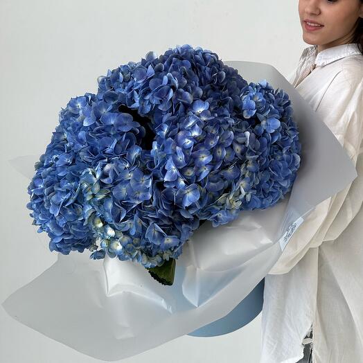Синие гортензии 7