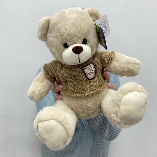 Медведь в коричневой кофте M