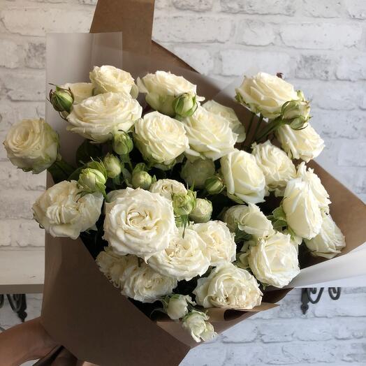 White bush rose