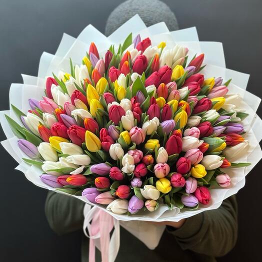 Тюльпаны 🌷 🌷🌷