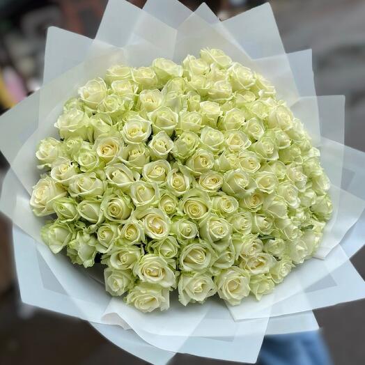 SPECIAL OFFER! 101 white roses
