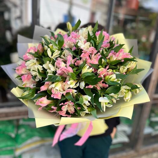 Afrodita (25 mezcla de alstromeria)