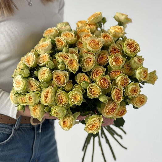 Розы 13штук