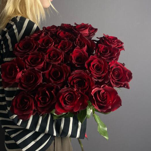25 Rosas Rojas Ecuatorianas