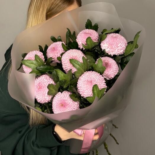 Momoko Chrysanthemums M