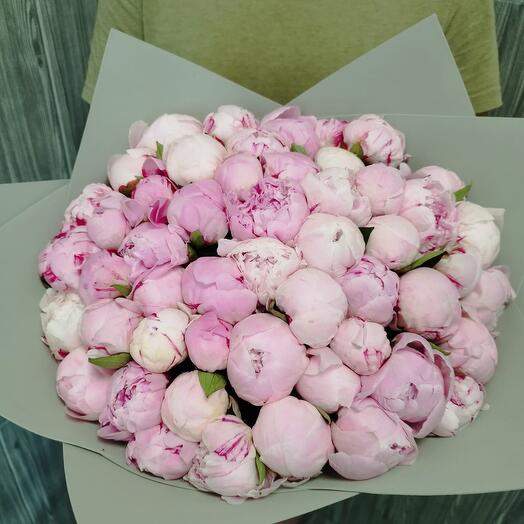 Букет из 51 розового пиона