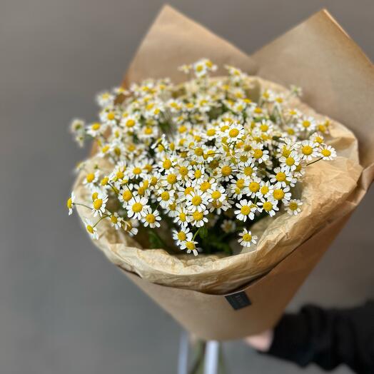 Bunch of daisies