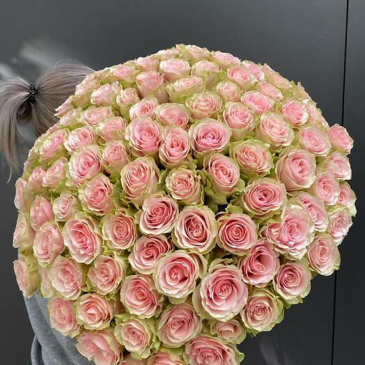 101 Rosas (Ecuador) Frutetta