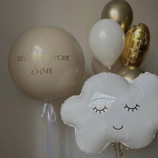 Шары на выписку