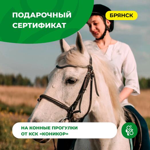 Подарочный сертификат на конную прогулку от КСК «Коникор»