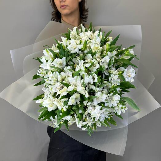 35 белоснежных альстромерий в упаковке