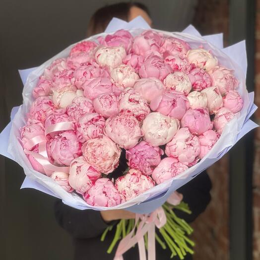 Пионы с оформлением 51 розовый пион