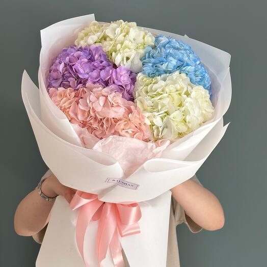 5 гортензий