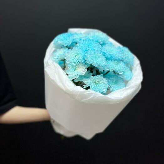 Кассиопея