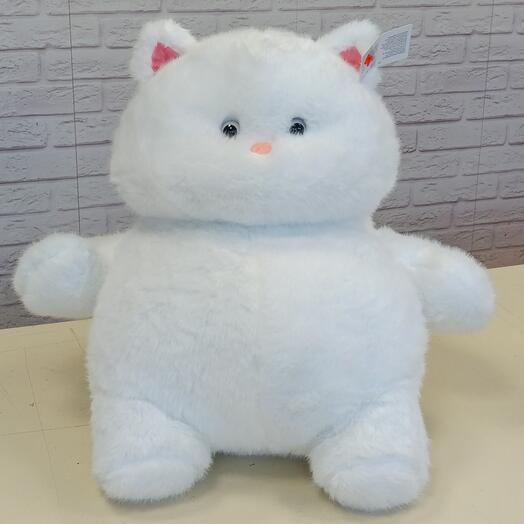 Котик