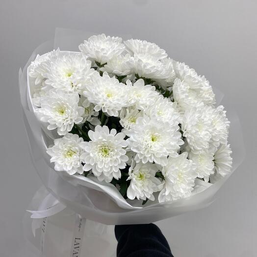 Белоснежные хризантемы (м)