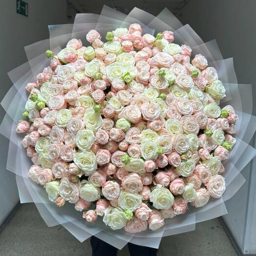 101 Кустовая роза пионовидная
