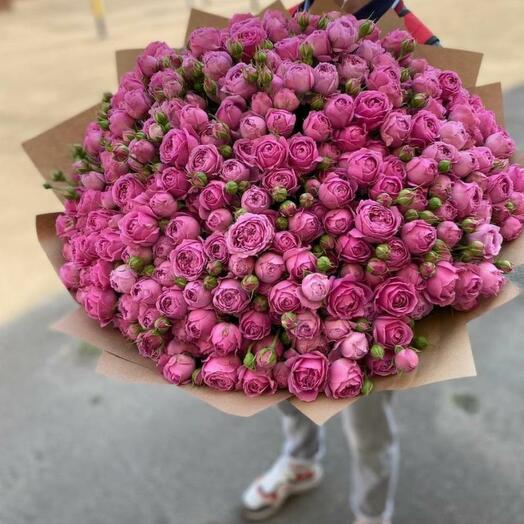 Роза Мисти баблз