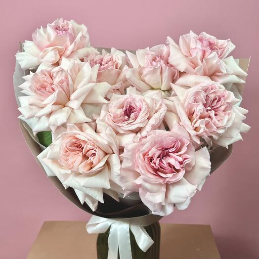 Pink O Hara (9)