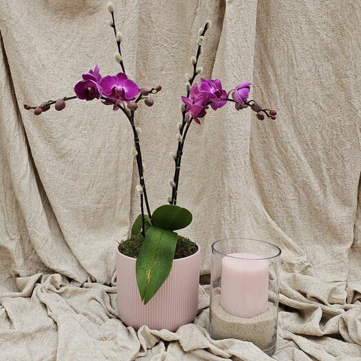 Orchid and scented candle Gift Set