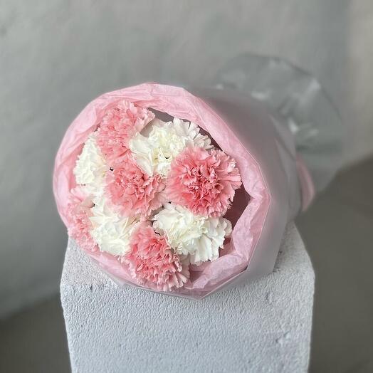 Стойкий диантус 9🌸