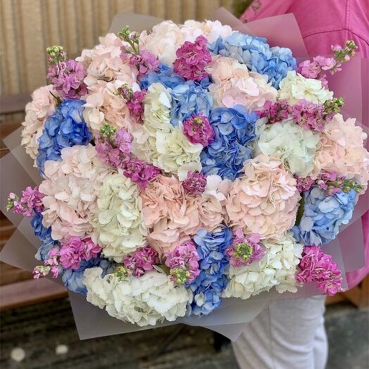 Bouquet of multi-colored hydrangeas and matthiola