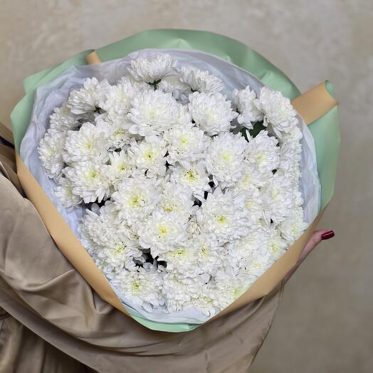 Terry chrysanthemums 9 pieces