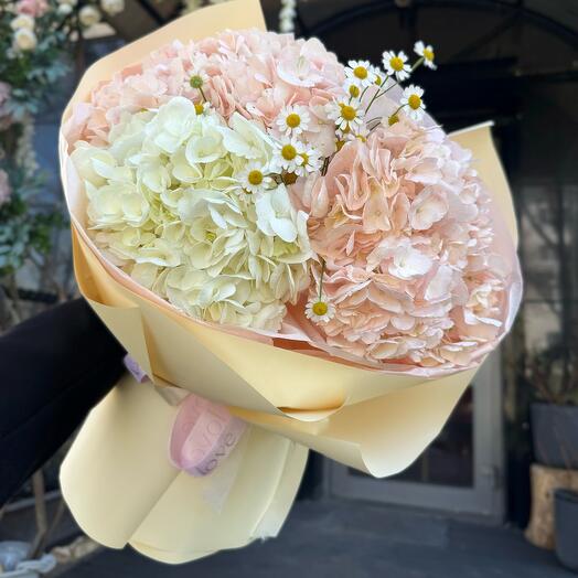 Гортензии и ромашка💛💗
