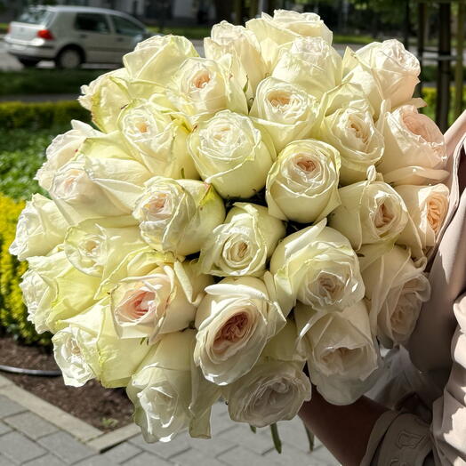 Уайт О Хара M