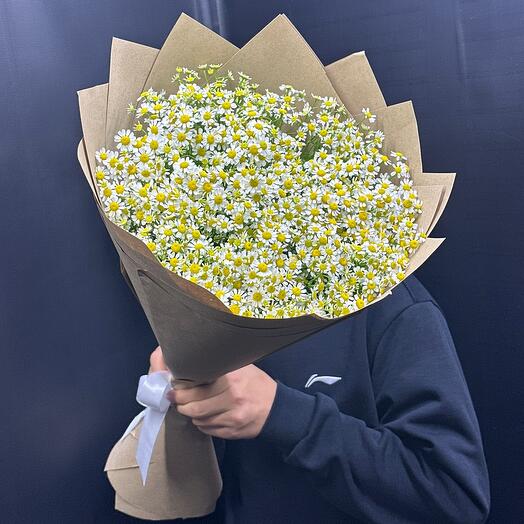Ромашки