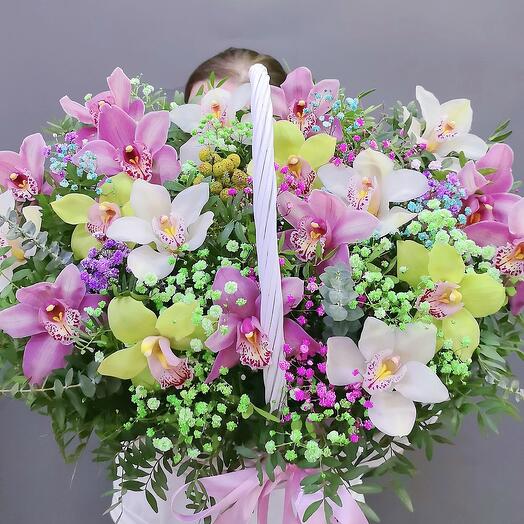 Orquídea fragante con amor 💕