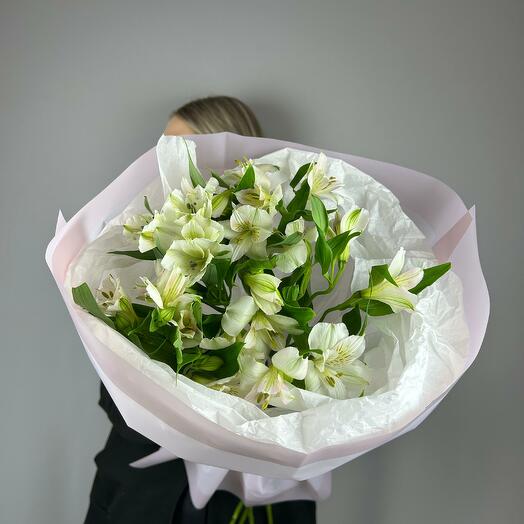 Белая альстромерия