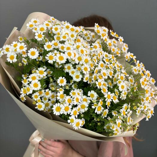 Ромашки 🌼
