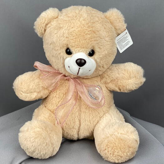 A soft toy , a teddy bear
