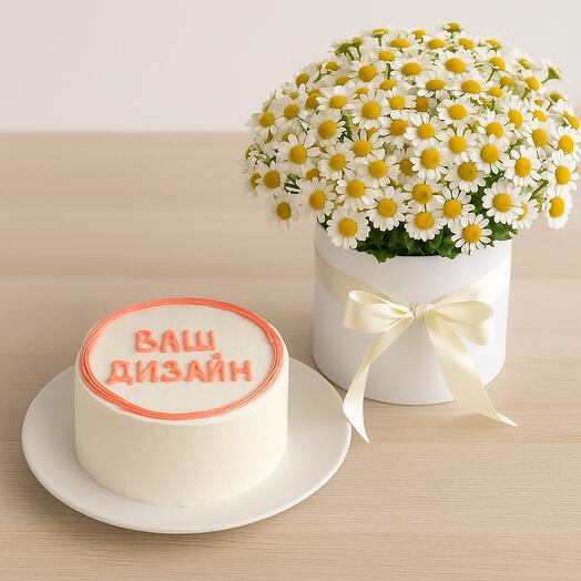 Ромашки и бенто комбо набор