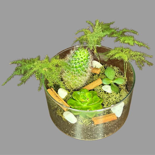 Composición con canela